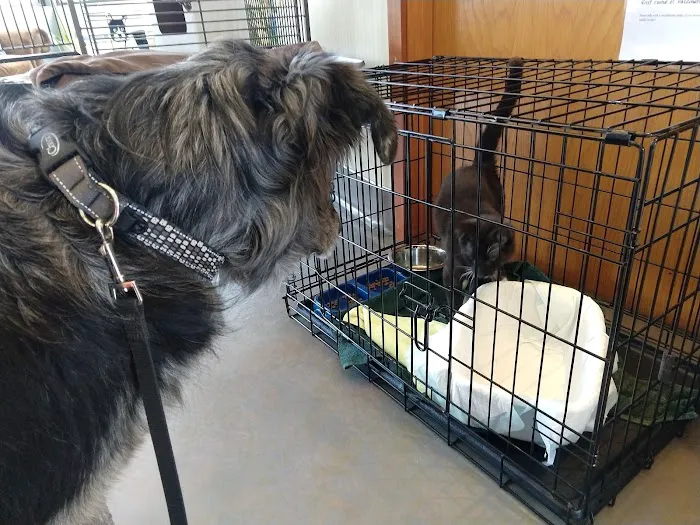 Woodburn Pet Hospital Picture 10