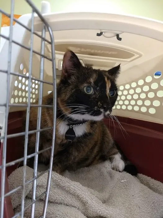 Woodburn Pet Hospital Picture 9