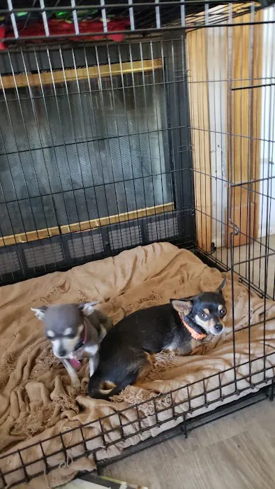 Mid-Valley Veterinary Clinic Picture 4