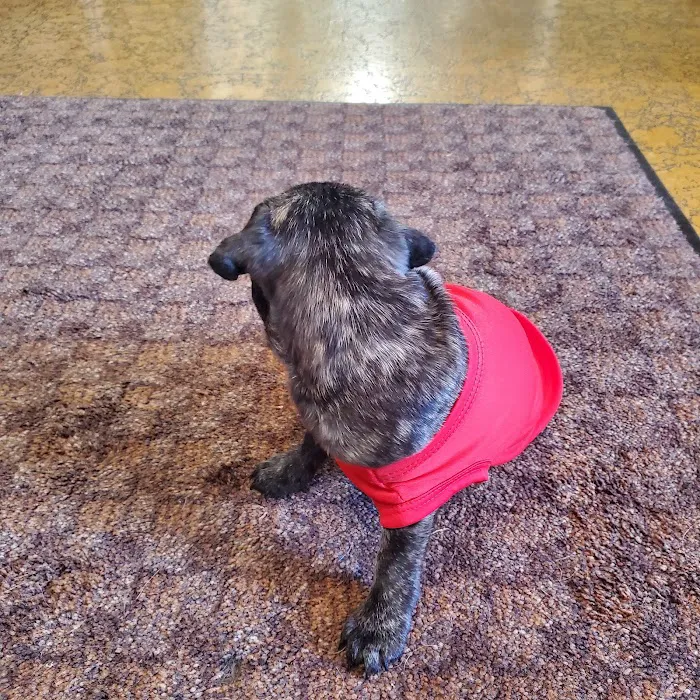 Mid-Valley Veterinary Clinic Picture 10