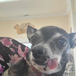 Cordon Road Veterinary Clinic-Santiam Equine