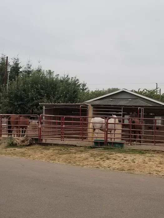 Cordon Road Veterinary Clinic-Santiam Equine Picture 8