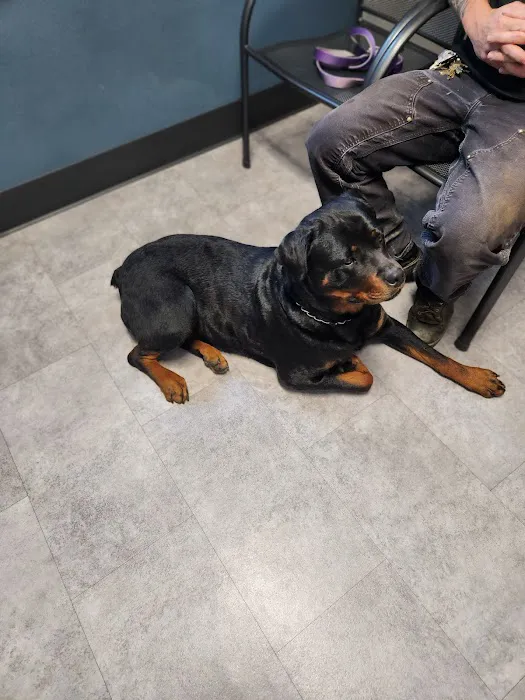 Aumsville Animal Clinic, LLC Picture 2