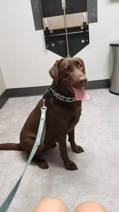 Aumsville Animal Clinic, LLC Picture 5
