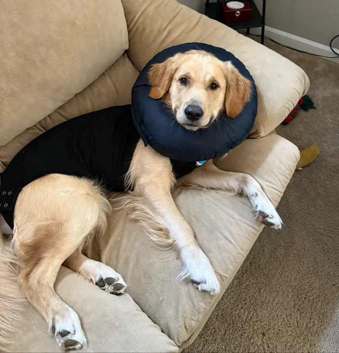 Aumsville Animal Clinic, LLC Picture 4