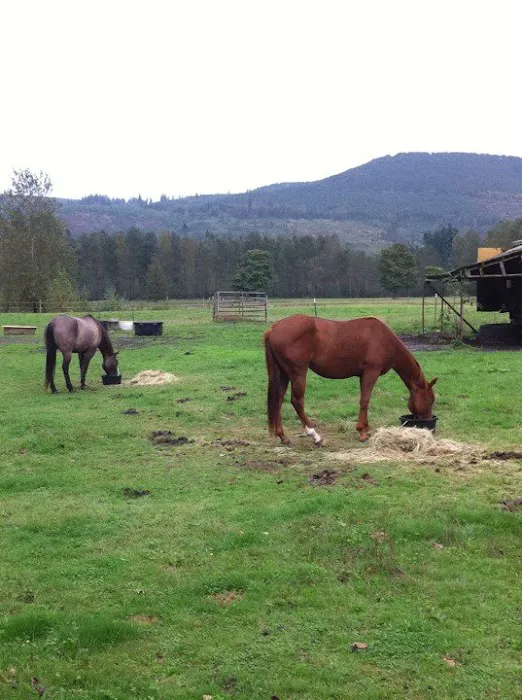 Cascade Equine Sports Medicine LLC. Picture 1