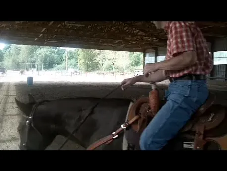 Cascade Equine Sports Medicine LLC. Picture 5