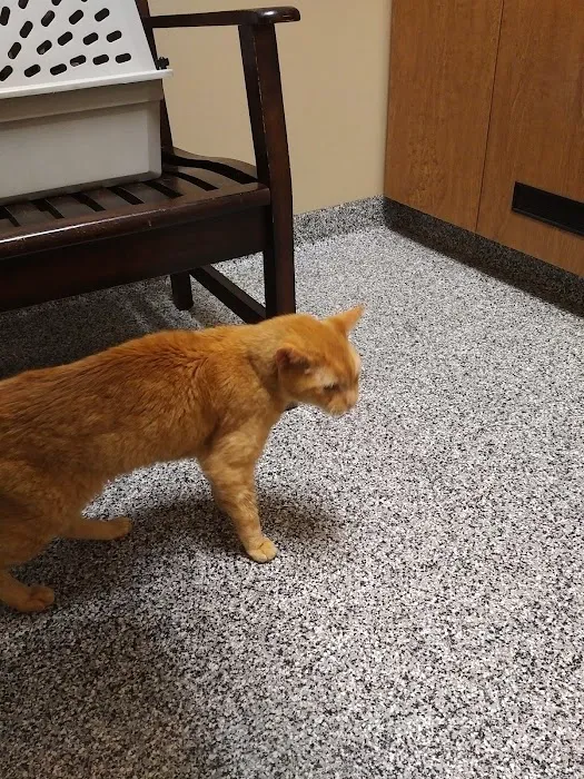 Pawz Veterinary Clinic Picture 2