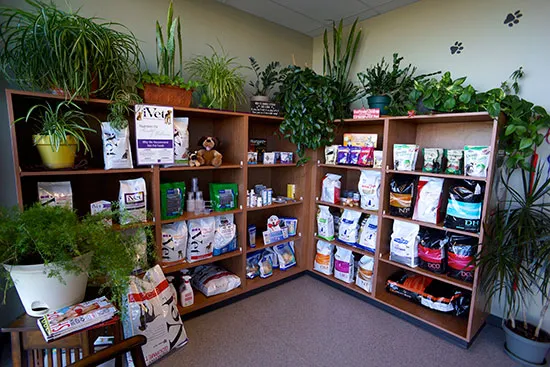 Pawz Veterinary Clinic Picture 10