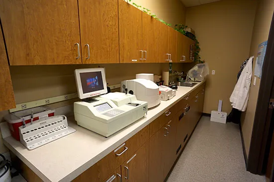 Pawz Veterinary Clinic Picture 9