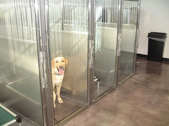 Mead Veterinary Medical Center Picture 10