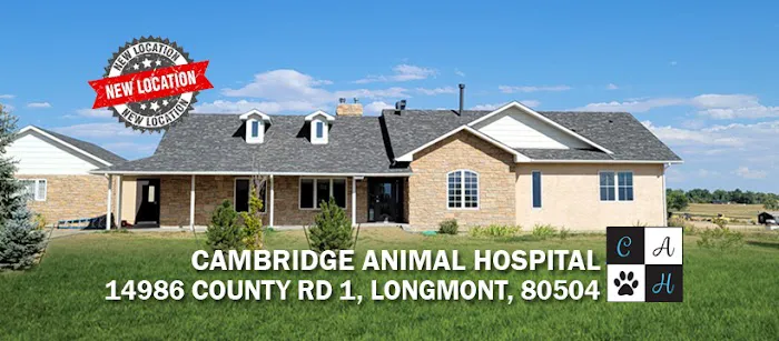 Cambridge Animal Hospital Picture 6