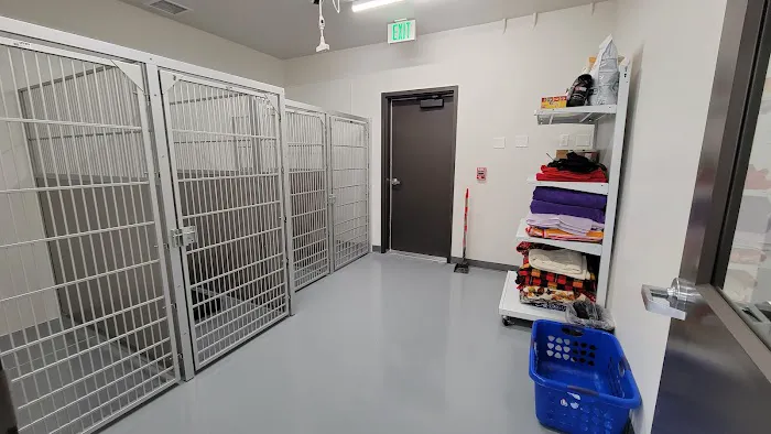 Cambridge Animal Hospital Picture 7