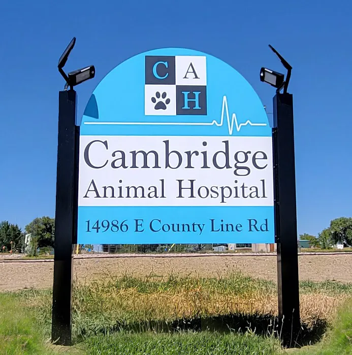 Cambridge Animal Hospital Picture 9