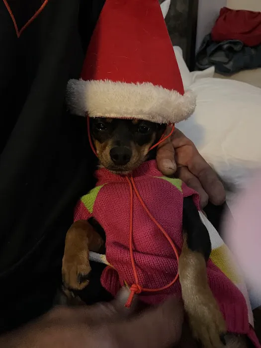 Vetco Total Care Animal Hospital Picture 2