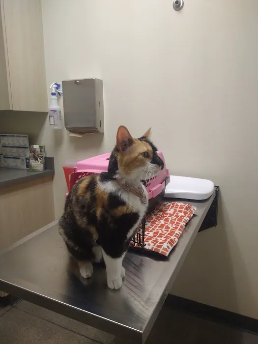 Vetco Total Care Animal Hospital Picture 5