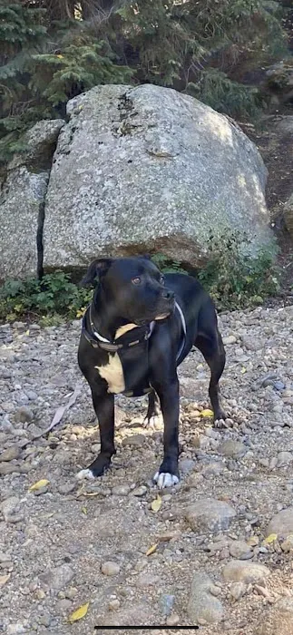 Vetco Total Care Animal Hospital Picture 8