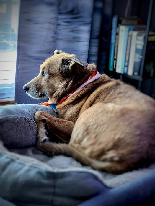 Vetco Total Care Animal Hospital Picture 3