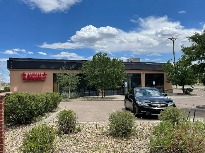Longmont Small Animal Hospital Picture 4
