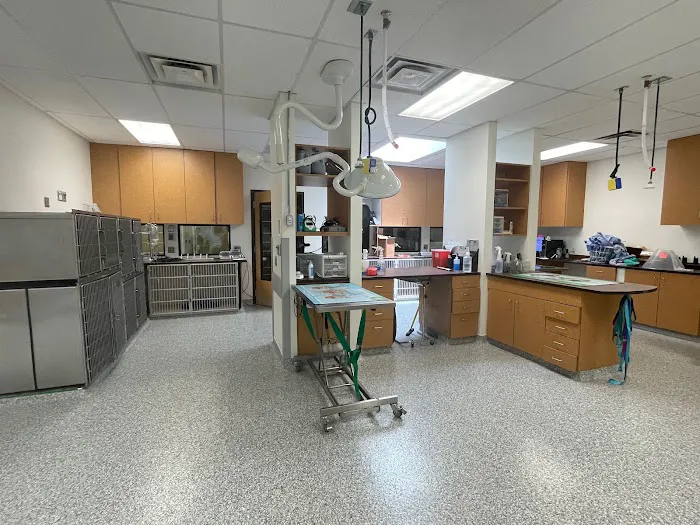 Longmont Small Animal Hospital Picture 2