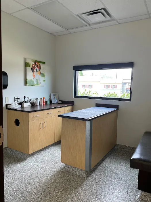 Longmont Small Animal Hospital Picture 10