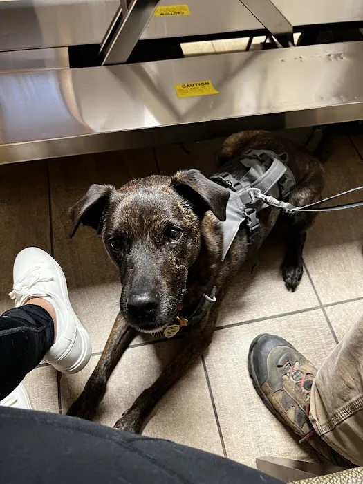 The Animal Hospital Picture 2