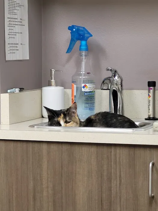 The Animal Hospital Picture 5