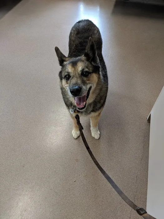 Valley Veterinary Hospital Picture 1