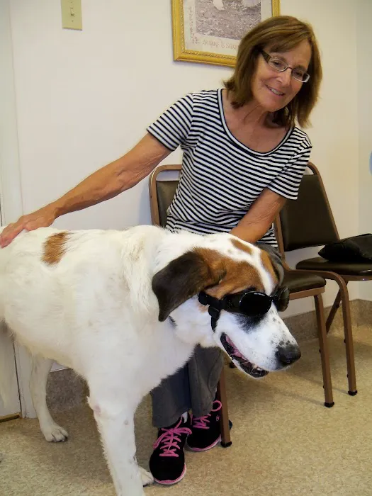 Valley Veterinary Hospital Picture 6