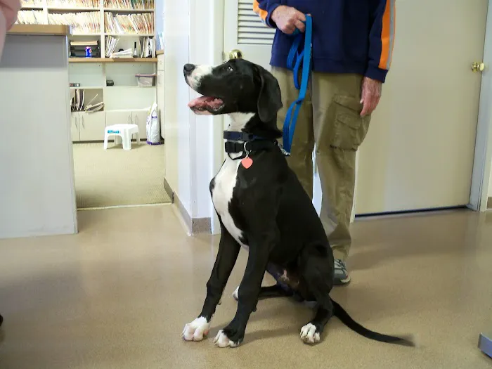 Valley Veterinary Hospital Picture 10