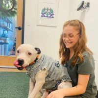 TREELINE VETERINARY CANCER CARE ico