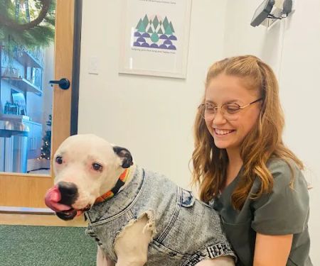 TREELINE VETERINARY CANCER CARE