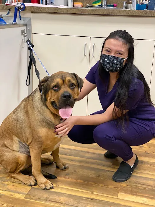 TREELINE VETERINARY CANCER CARE Picture 2