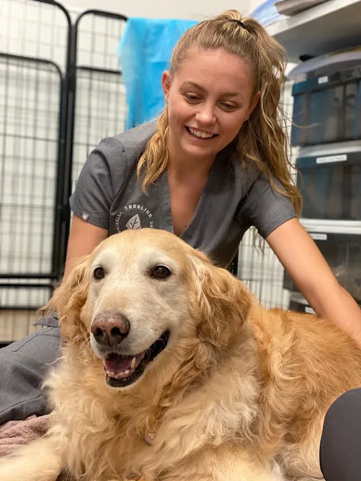 TREELINE VETERINARY CANCER CARE Picture 7