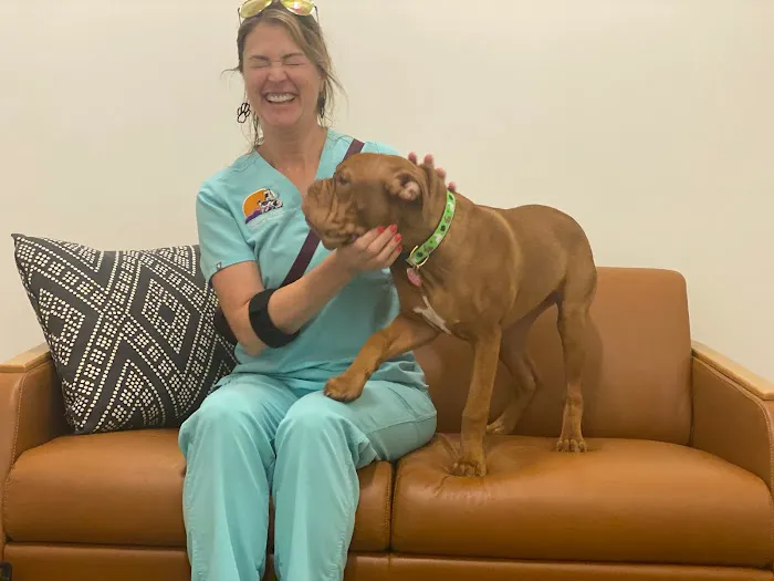 TREELINE VETERINARY CANCER CARE Picture 3