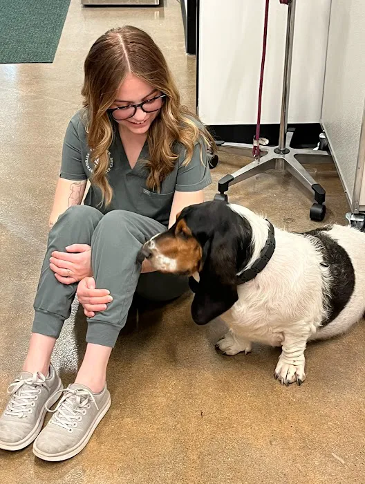 TREELINE VETERINARY CANCER CARE Picture 10