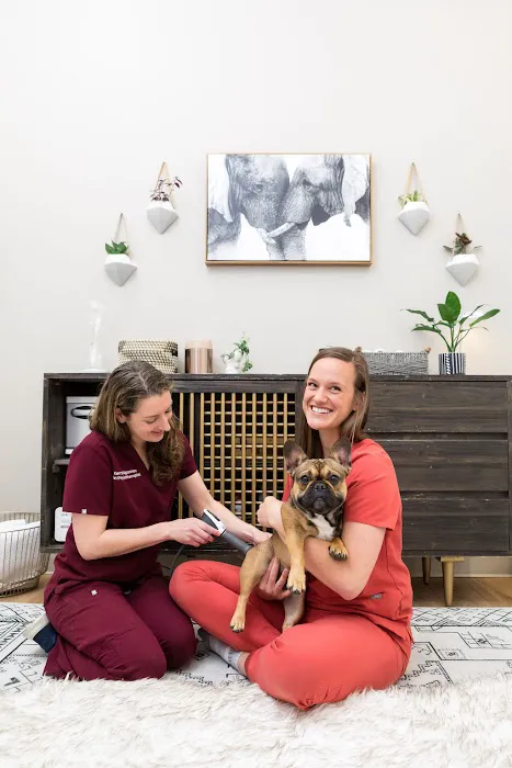 Walking Paws Rehab Picture 1