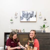 Walking Paws Rehab ico