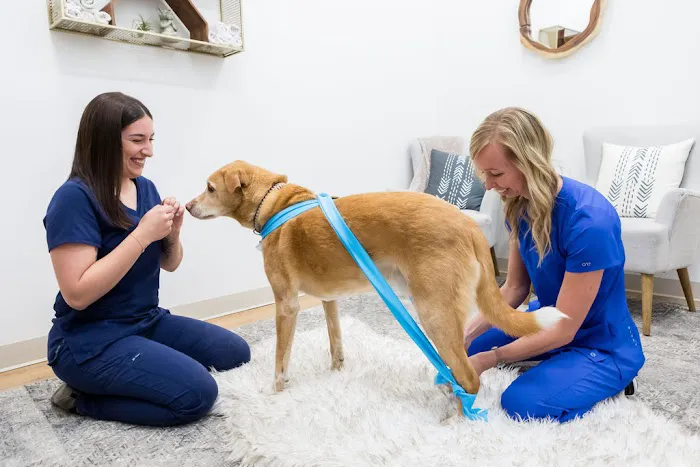 Walking Paws Rehab Picture 7