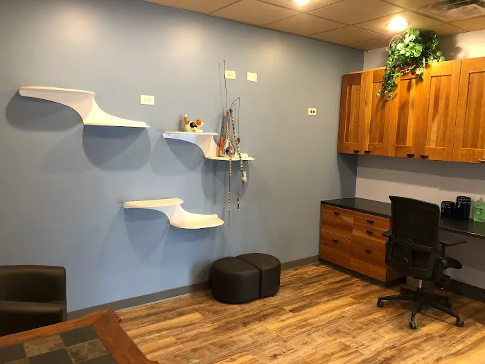 The Veterinary Behavior Center Picture 4