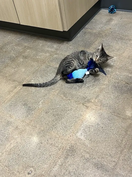 Vetco Total Care Animal Hospital Picture 4
