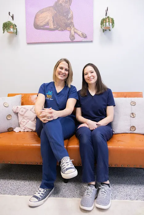 PetVet365 Pet Hospital Boulder Picture 4