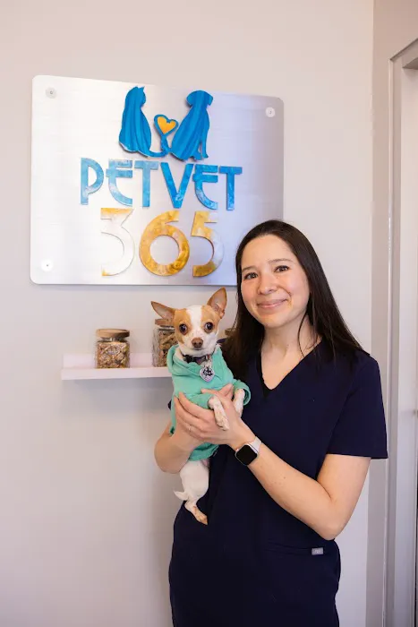PetVet365 Pet Hospital Boulder Picture 2