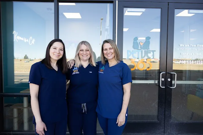PetVet365 Pet Hospital Boulder Picture 3