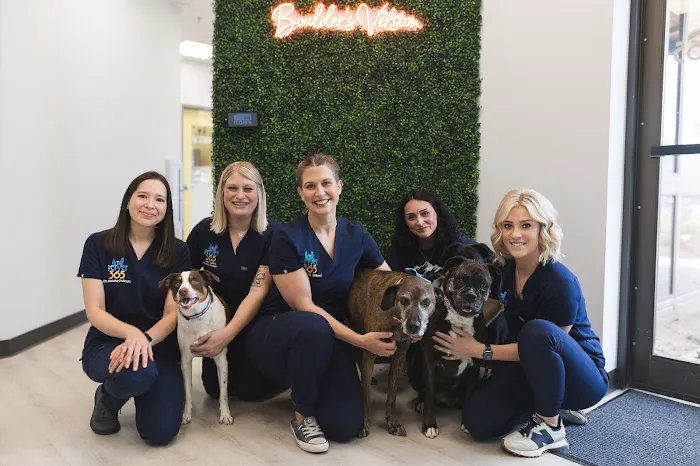 PetVet365 Pet Hospital Boulder Picture 9