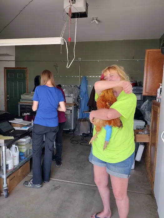 Sunrise Veterinary Services Picture 2