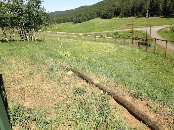 Aspen Creek Veterinary Hospital (at Pleasant Park) Picture 5