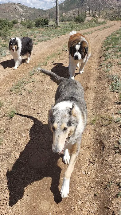 Bighorn Veterinary Service Picture 2