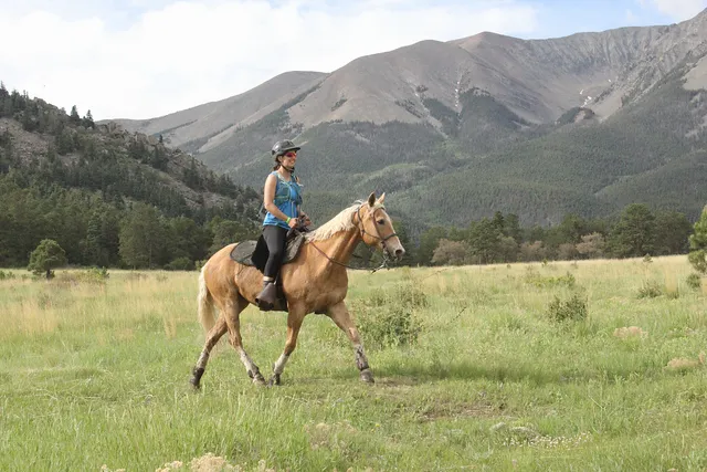 Bighorn Veterinary Service Picture 1