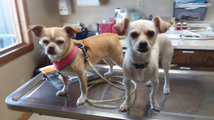 Nederland Veterinary Hospital Picture 2
